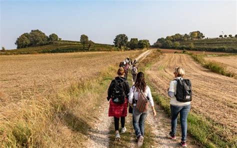 Infografica che illustra il cammino di fede: Battesimo, percorso di catechismo, Prima Comunione e vita comunitaria.