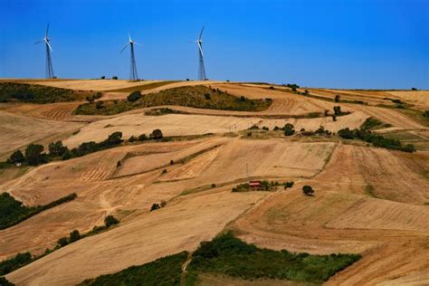 Foto tematica: lavoratori agricoli nelle campagne del Tavoliere o simbolo di integrazione