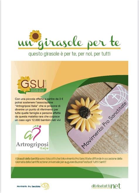 Infografica che spiega l'iniziativa 