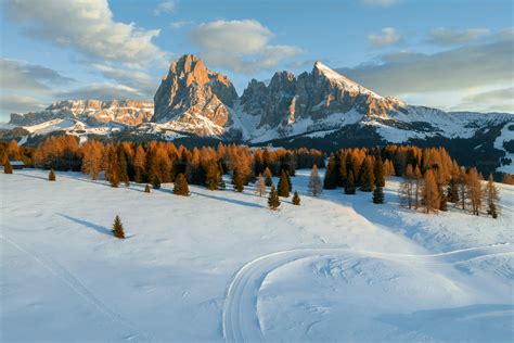 Illustrazione di un alpeggio con montagne sullo sfondo in un'ambientazione serena