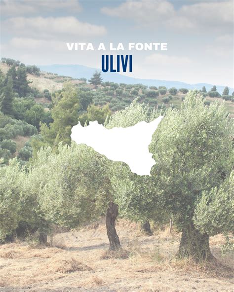 Illustrazione che contrappone la natura come fonte di vita e la natura come fonte di pericolo.