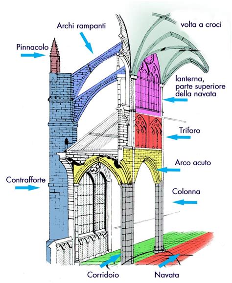 Schema illustrativo delle innovazioni strutturali gotiche: arco a sesto acuto, volta a crociera e archi rampanti.