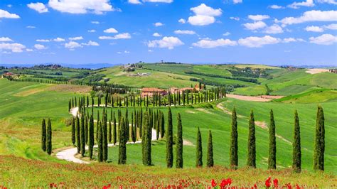 Paesaggio tipico della Val d'Orcia nei pressi di Pienza