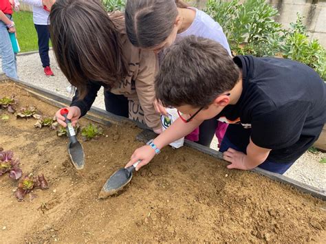 Foto di bambini nell'orto didattico della scuola