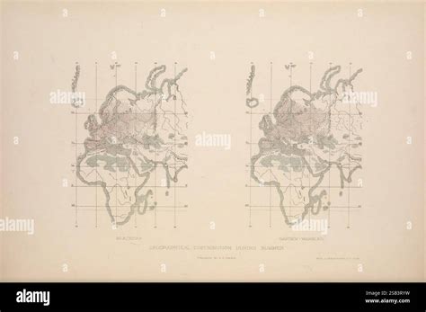 Mappa che illustra la distribuzione geografica delle specie di Limonium nelle isole maltesi, con particolare enfasi sull'habitat esclusivo di L. lanfrancoi.