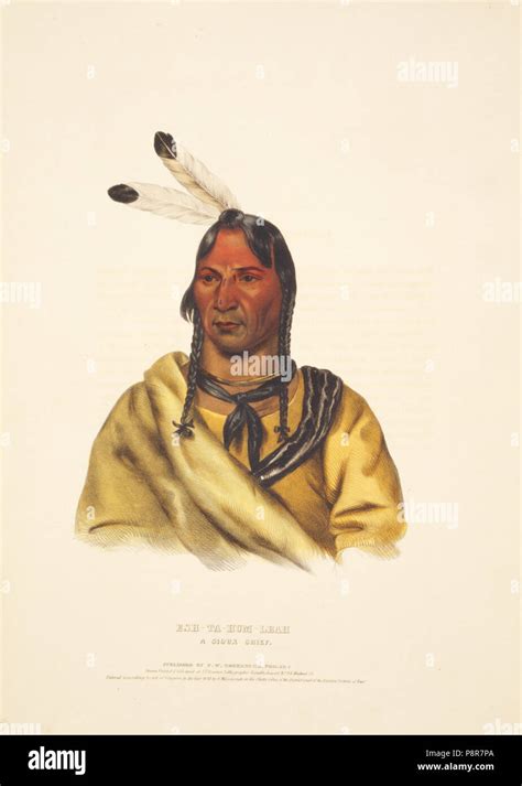 Illustrazione di un capo Sioux con un corvo bianco