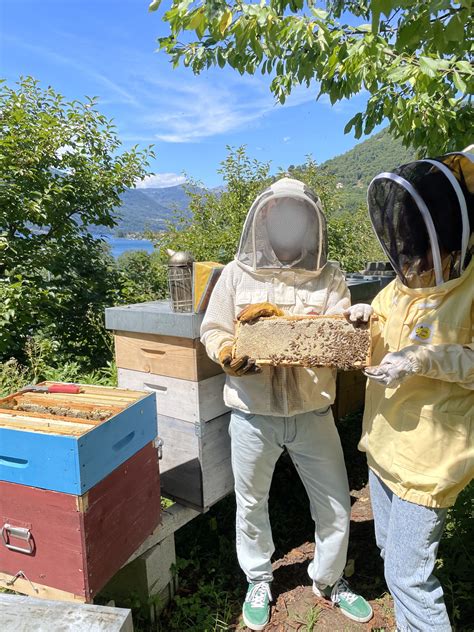 Foto storica dell'apiario di Seregno o di un monaco apicoltore
