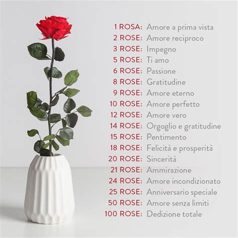 Infografica: Il significato del numero di rose regalate