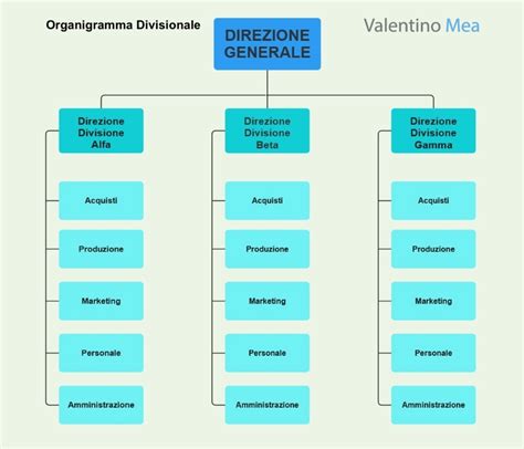Schema dell'organigramma del Comune di Messina con evidenziato il ruolo di Direttore Generale