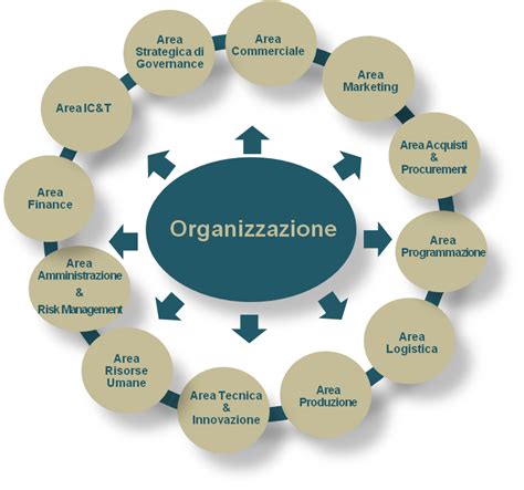 Infografica: Schema dei servizi di consulenza e organizzazione aziendale offerti