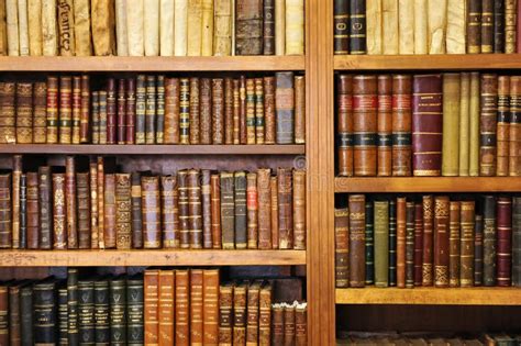 Interno accogliente di una libreria con scaffali pieni di libri.