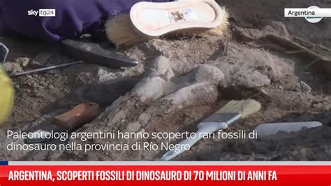 Ricostruzione del canestro di 10.000 anni fa trovato nella grotta