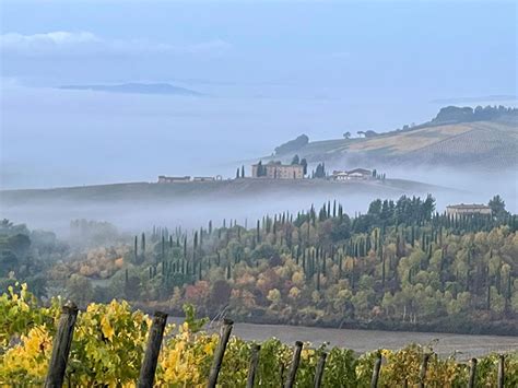 Panorama della tenuta di Bibbiano con vigneti e uliveti