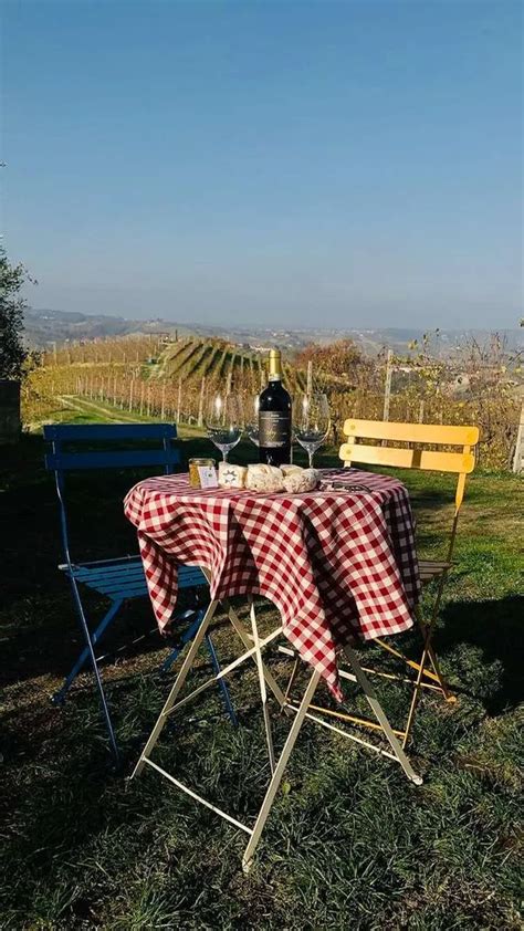 Un tavolo allestito per un picnic nei vigneti di Bibbiano