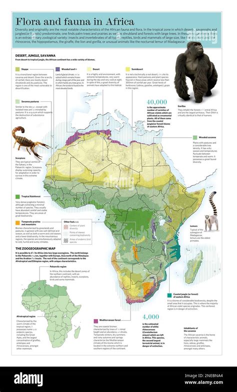 Infografica della flora tipica del Monte Genuardo