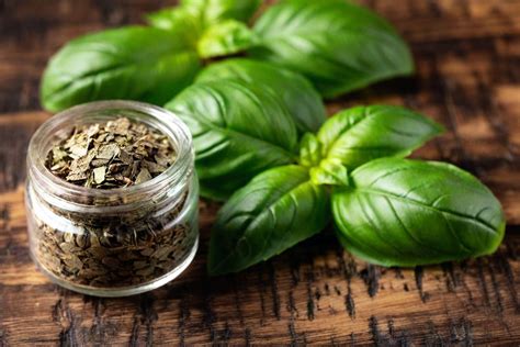 foto di basilico fresco e basilico in polvere in un vasetto