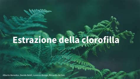 illustrazione del processo di estrazione della clorofilla