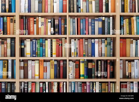Foto di scaffali pieni di libri in una libreria accogliente