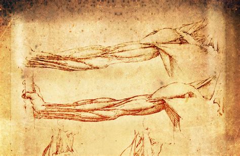Illustrazione simbolica del braccio teso di Dio come atto di liberazione e protezione divina.