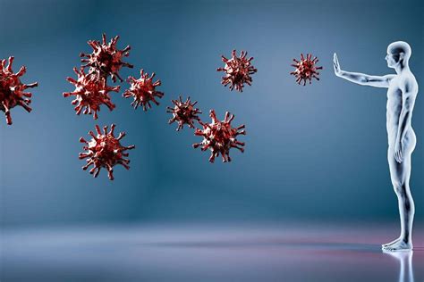 Infografica che spiega il funzionamento del sistema di autoapprendimento