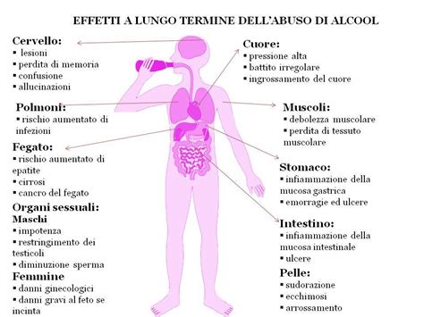 Infografica sulla motilità gastrica e l'assorbimento dell'alcol