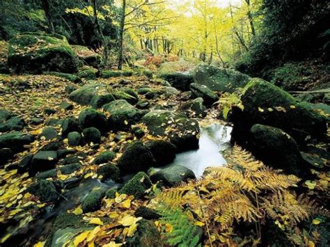 Mappa della Riserva Naturale Orientata Bosco di Santo Pietro