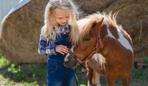 Bambini che accarezzano un pony