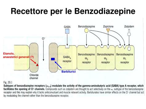 Schema del meccanismo d'azione delle benzodiazepine sui recettori GABA-A