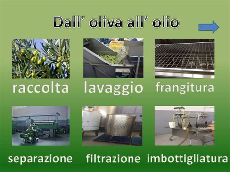 Immagine di Francesco mentre illustra il processo di produzione dell'olio d'oliva nel frantoio