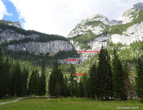 Panoramica del Pian delle Comelle circondato dalle maestose vette delle Pale