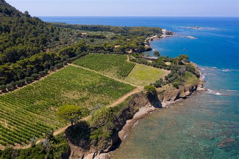 Foto panoramica della cantina Colle del Corsicano con i vigneti