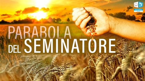 Rappresentazione dei diversi terreni della parabola del seminatore