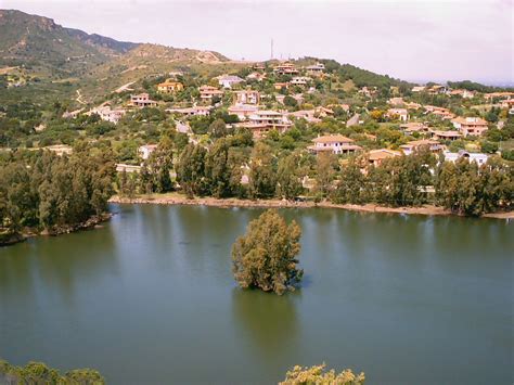 Panorama di Poggio dei Pini con i suoi caratteristici pini domestici e il paesaggio collinare