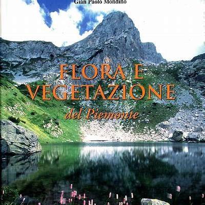 Foto ravvicinata della flora e della vegetazione del Bosco dei Frati Bianchi