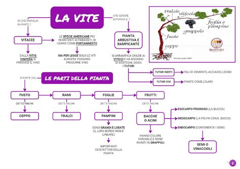 Schema grafico che illustra il simbolismo della 