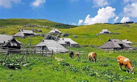 Veduta panoramica dell'altopiano di Velika Planina con le tipiche capanne dei pastori