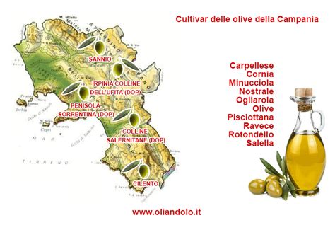 Mappa delle zone di produzione dell'olio DOP in Italia