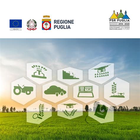 Schema organizzativo dell'Autorità di Gestione del PSR Puglia e interazione con l'organismo pagatore e il comitato di monitoraggio