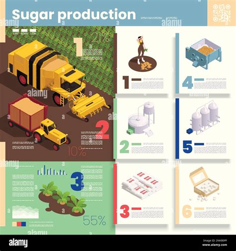 Grafico o infografica che illustra il processo di invecchiamento della birra Torba
