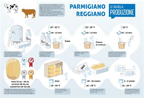 Infografica sulla filiera biologica e le fasi di produzione del Parmigiano Reggiano