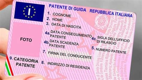 Infografica sul percorso per ottenere la patente: fasi della teoria, del foglio rosa e della pratica