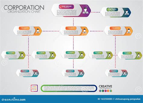 Organigramma aziendale, infografica