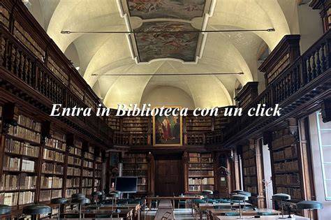 Foto interna della biblioteca 
