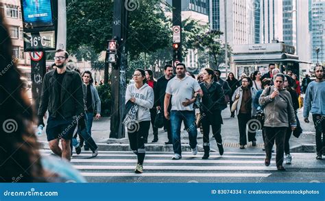 Foto di persone che passeggiano con i loro cani lungo una promenade o in una piazza