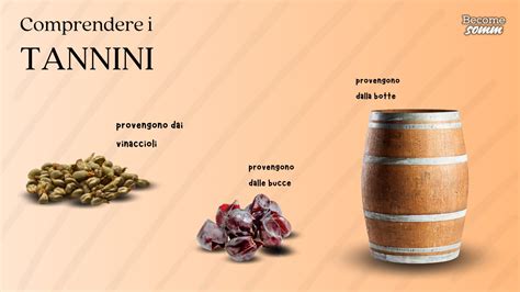 Schema che illustra la differenza tra tannini gallici (provenienti dal legno delle botti) e tannini catechici (provenienti dall'uva).