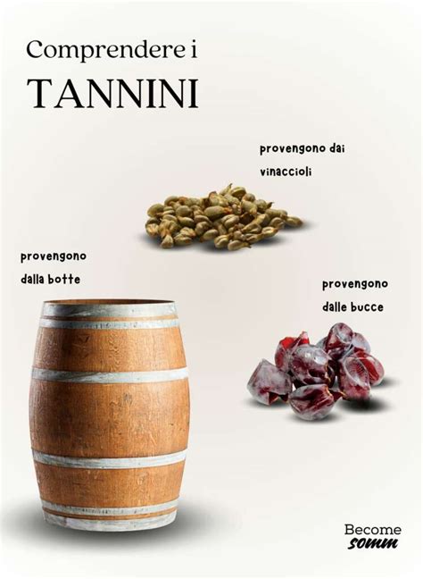 Illustrazione schematica dell'interazione tra tannini e proteine salivari che causa l'astringenza.