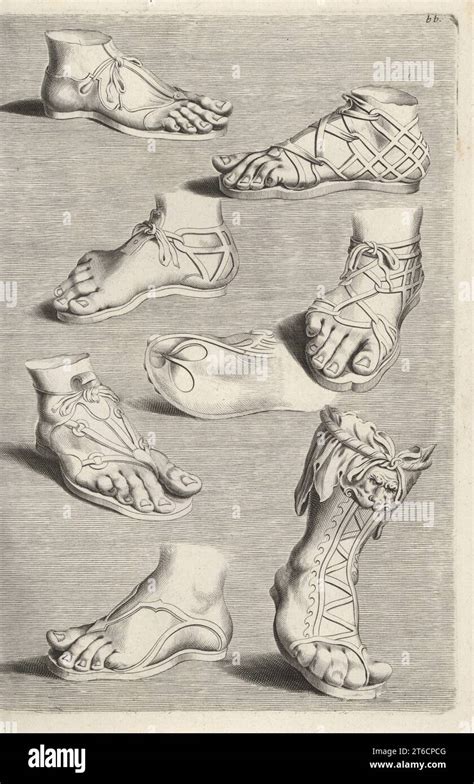 illustrazione di sandali antichi o caligae romane