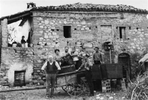 Illustrazione storica della vita contadina nell'Alta Murgia e forno a legna tradizionale