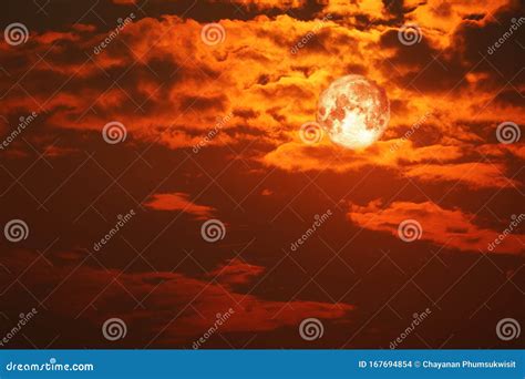 Foto di una luna di sangue in cielo notturno