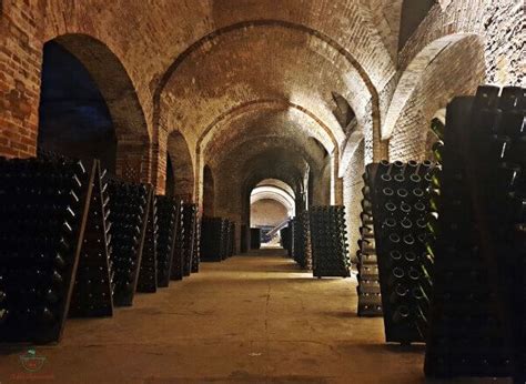 Foto attuale delle cantine sotterranee dell'Abbazia di Monastier, utilizzate per la vinificazione